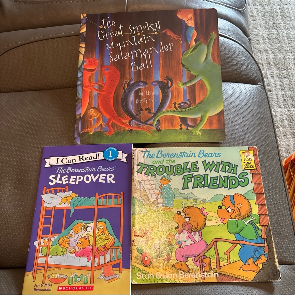 Scholastic Berenstain Bears and Salamander Ball Book Set